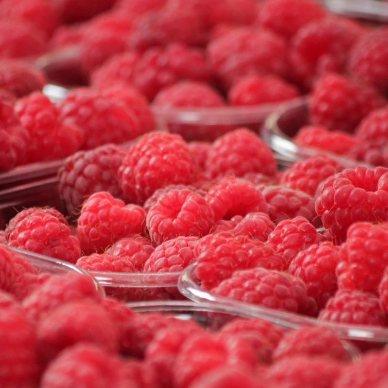 raspberries-3782591920.jpg